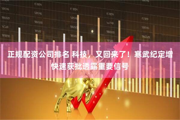 正规配资公司排名 科技，又回来了！寒武纪定增快速获批透露重要信号