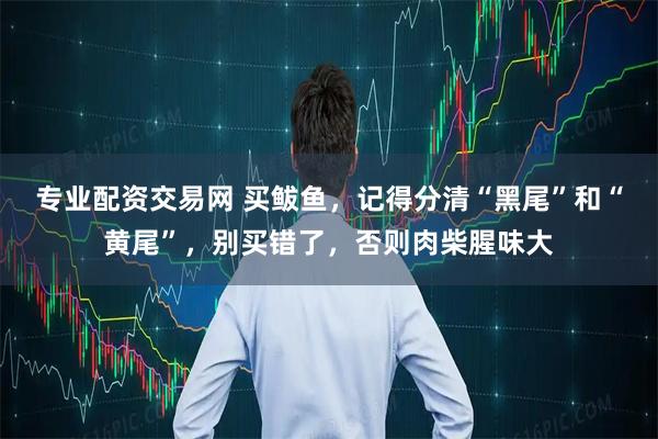 专业配资交易网 买鲅鱼，记得分清“黑尾”和“黄尾”，别买错了，否则肉柴腥味大